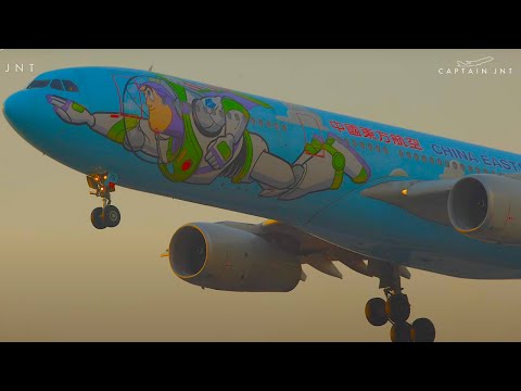 Lindas chegadas ao pôr do sol | A350s, A330s, B777s, B787s | Aeroporto Internacional de Xangai Hongqiao |