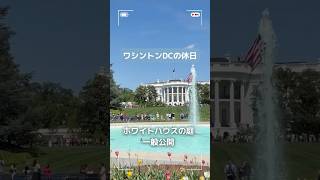 【ホワイトハウス】年2回の特別公開 #ホワイトハウス #アメリカ生活 #アメリカ生活 #ワシントンdc