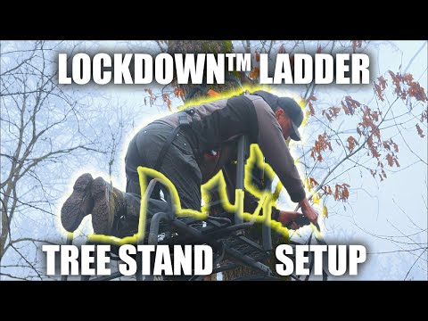 Setting Up The Safest Ladder Tree Stand