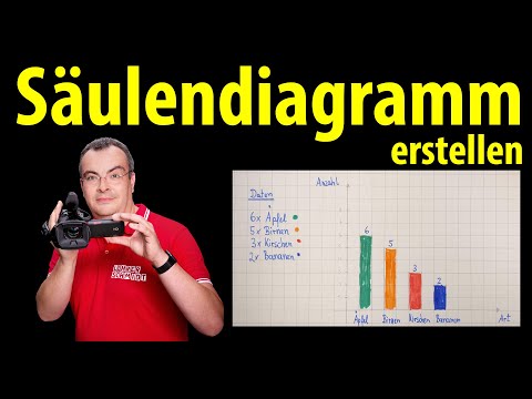 Creating a bar chart - explained simply by teacher Schmidt