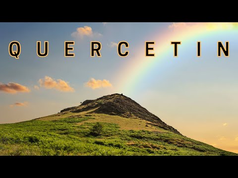 Quercetin Supplement