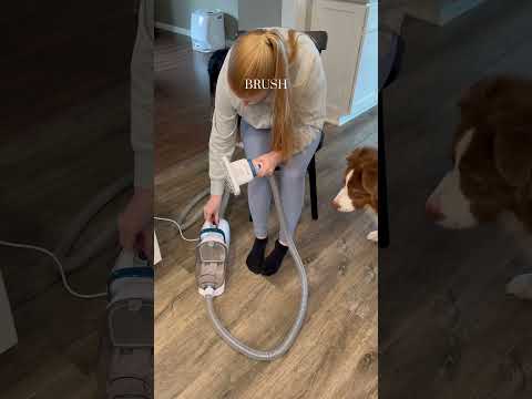ONEISALL Pet Grooming Vacuum