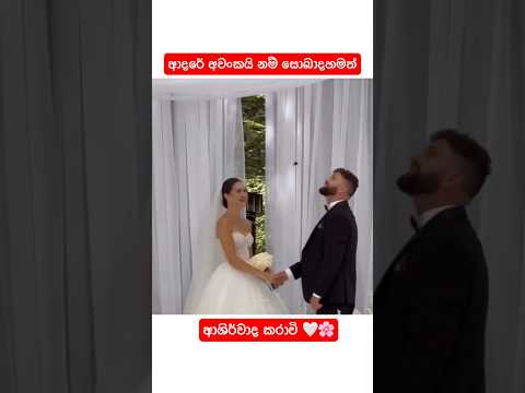 කවුරුහරි සුභපතන්න ඇවිත් වගේ ❤️‍🩹🕊️