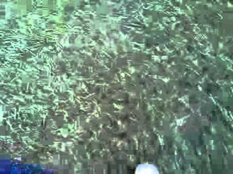 Marios and bowser goes to the park 2