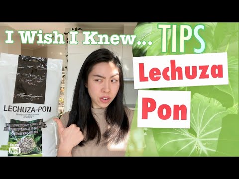 How to use Lechuza Pon? | Watering | Transition | Types of Plants | Plant Tour | Pros & Cons