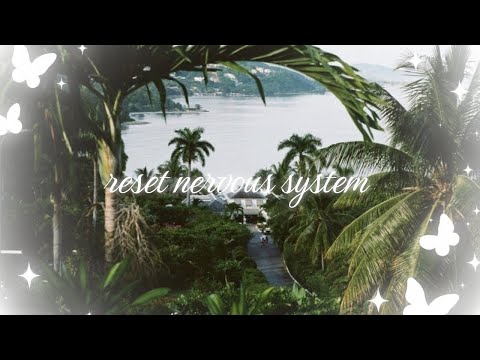 reset nervous system