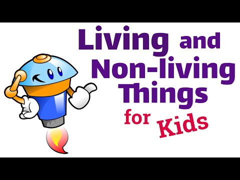 Living and Non-living Things for Kids