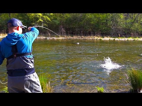 download lagu mp3 mp4 How To Fly Fish For Trout, download lagu How To Fly Fish For Trout gratis, unduh video klip How To Fly Fish For Trout