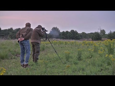 BuitenGewoon 19 augustus 2017 | De Hoge Veluwe