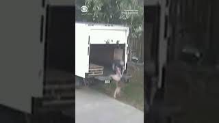 Man in custody for throwing elderly German shepherd off truck and abandoning it #shorts