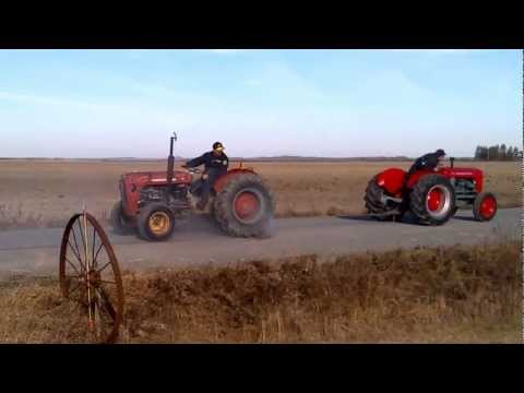 Only in Earlton pt.3