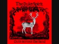 The Duke Spirit - Hello To The Floor