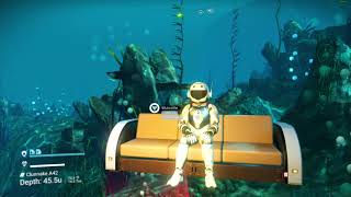 No Man's Sky There and Back Again