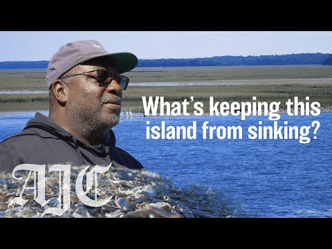 Can oyster shells save a sinking island off Georgia's coast?