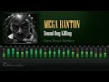 Mega Banton - Sound Boy Killing (Real Rock Riddim) [HD]