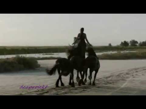 Jehro ♪ All I Want ♪♫ deaprojekt