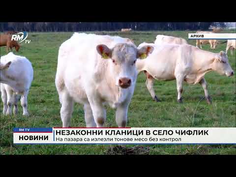 Незаконни кланици в село Чифлик: На пазара са излезли тонове месо без контрол