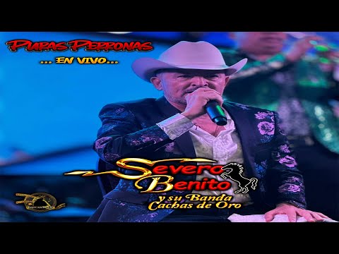 PURAS PERRONAS SEVERO BENITO EN VIVO 2025