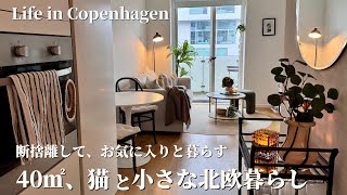 北欧の狭小アパートでお気に入りを愛でる🐈猫2匹と夫婦の小さな北欧暮らし|捨て活|Life in Copenhagen with Our Cats