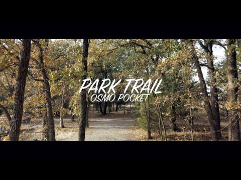 Younghyeun Park video.