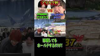 #ブリカワ #ブリとカワウソ #スマブラsp #スマブラ