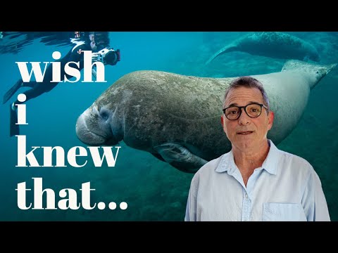 Getting Starting in Underwater Photography / What I WISH I Knew