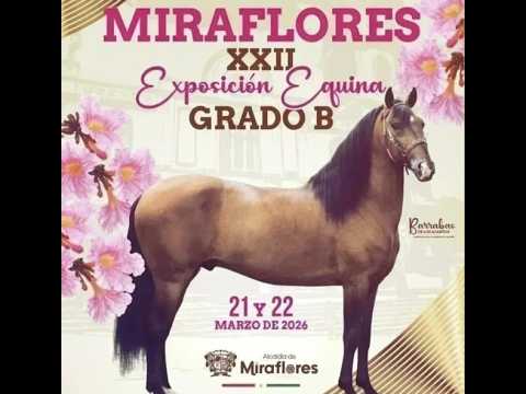 EXPOSICIÓN EQUINA MIRAFLORES 2026 GRADO B  - día 1