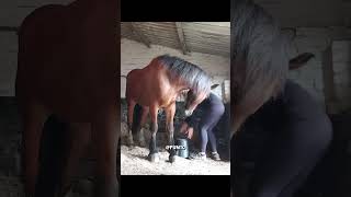 Big fails 😅🤣😁 #shortsfails #shortvideo #failsvideo