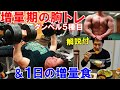 【筋トレ】増量期5ヶ月目の胸のトレーニングと1日の増量食!ダンベル5種目で大胸筋全体を鍛える【解説付】