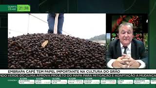Embrapa Café tem papel importante na cultura do grão