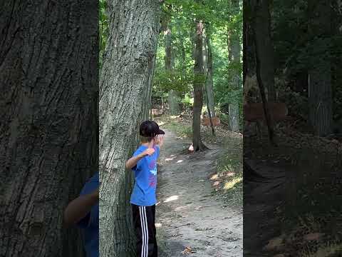 He shot a deer with a slingshot lol nothing was seriously injured   #viral#deer#slingshot#bullseye