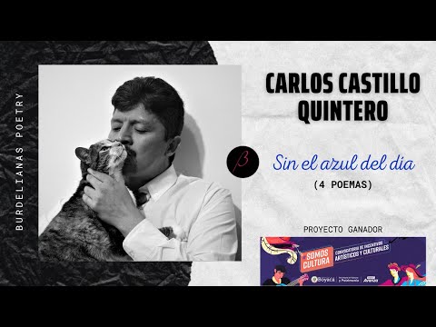 Video 5