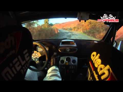 Rallyday dei Colli di Luni 2014  Ferrando - Botzari  Renault Clio R3/C