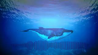 Crying Ocean (relax / meditation music)