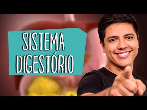 SISTEMA DIGESTÓRIO - Anatomia e Fisiologia - Prof. Kennedy Ramos