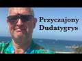 przyczajony dudatygrys