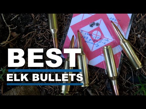ELK WEEK - It's the Bullet, Stupid!