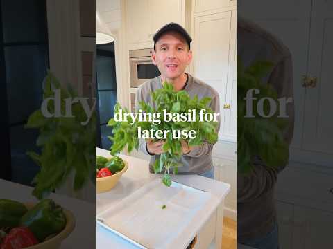 Lots of basil (or other herbs) at the end of the season? Do this! #shorts