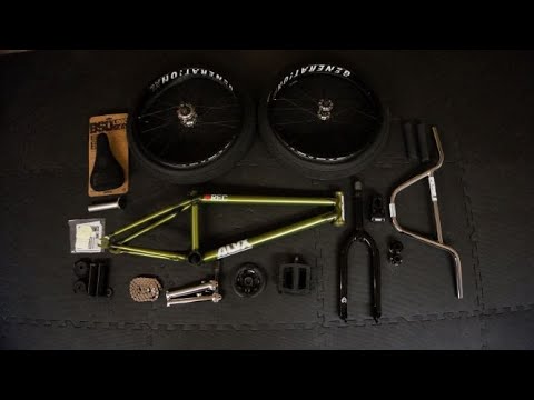 2021 BSD ALVX  DREAM BUILD