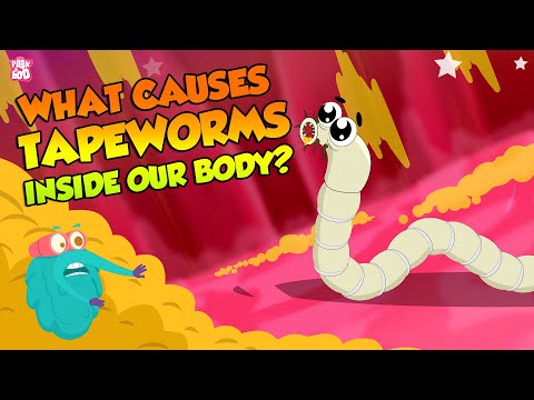 , title : 'What Causes Tapeworms Inside Our Body? | Tapeworm Infection | The Dr Binocs Show | Peekaboo Kidz'