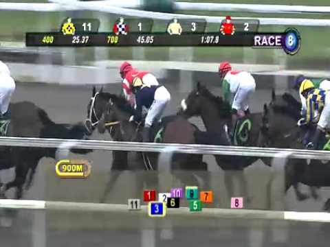 SINGAPORE RACE 01/01/2014 RACE 8 - iAgencyNet.com