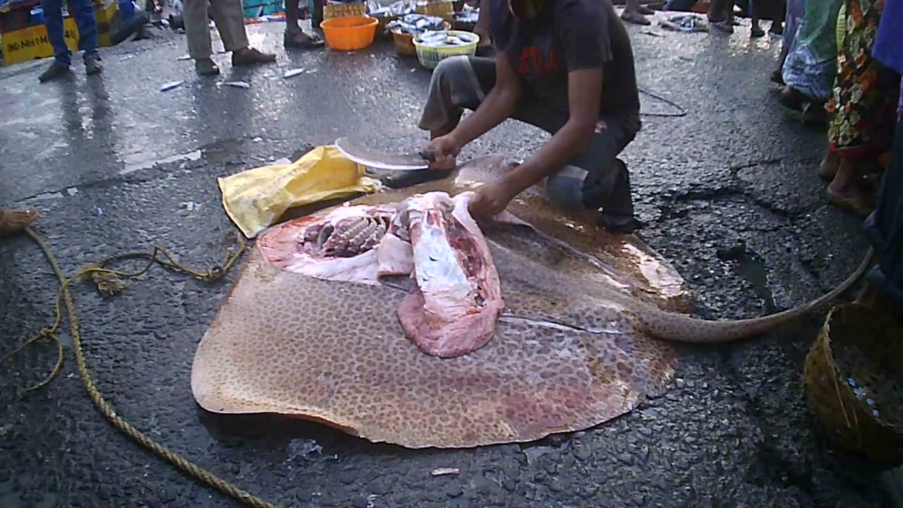 Sassoon Dock Fish Market | Skinning off the skin of a STINGRAY