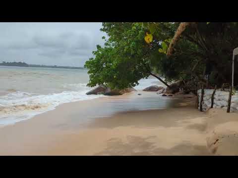 Jungle Beach srilanka