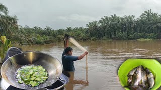 Download lagu The river overflowed again, all the plants were submerged||lift the net and cook immediately mp3