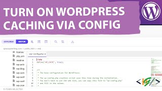 How to Turn on WordPress Caching | Enable Cache through Wp-Config.php File