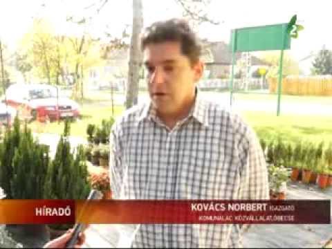 Ki a virágot szereti