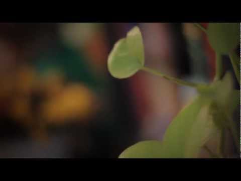 Cássio Carvalho | Obaê