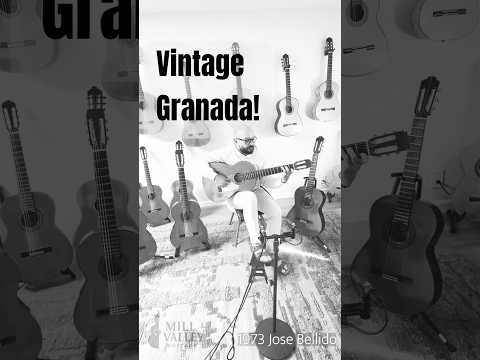 1973 José López Bellido Flamenco Blanca – Granada – Cypress/Spruce – One Owner – Original Factura image 13