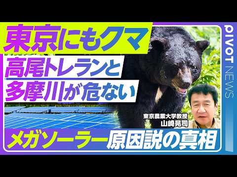 経済経営学科 【東京でもクマ注意】被害激増の理由／メガソーラー原因説は本当か／多摩川をクマが下る？／高尾、立川、八王子…遭遇のリスク／活発な「時間」「季節」【PIVOT NEWS】