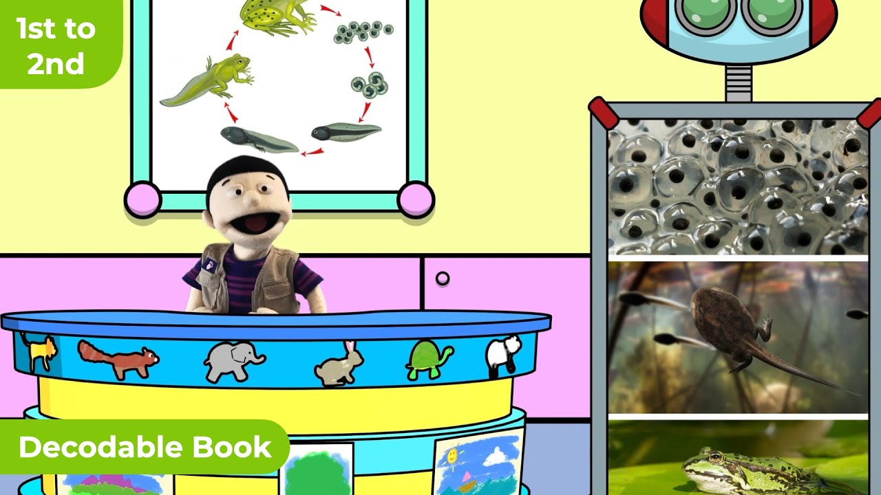 Frog Life Cycle & Camouflage  Informational Video & Decodable Book